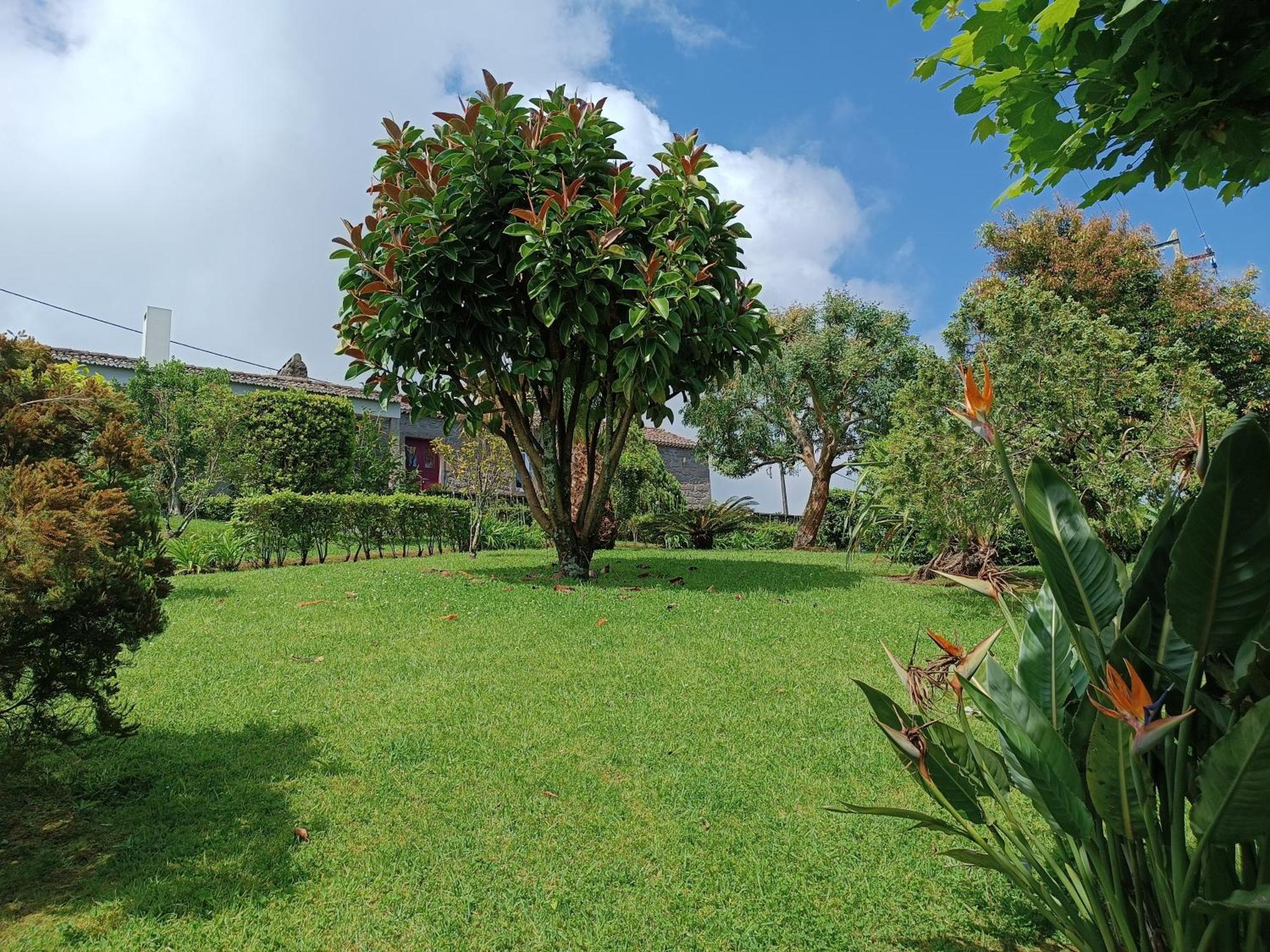 Tradicampo Eco Country Houses Nordeste  Exteriör bild