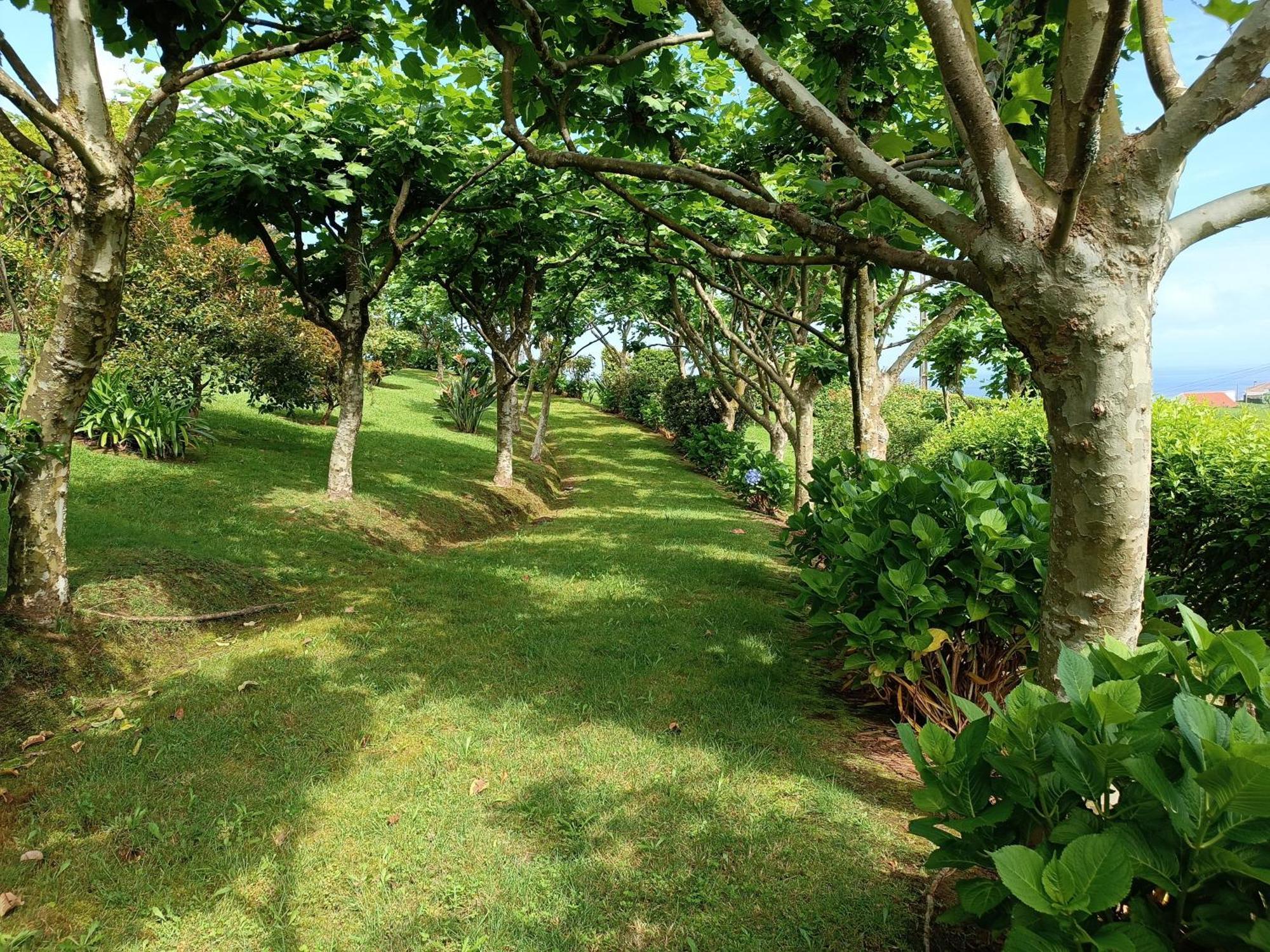Tradicampo Eco Country Houses Nordeste  Exteriör bild